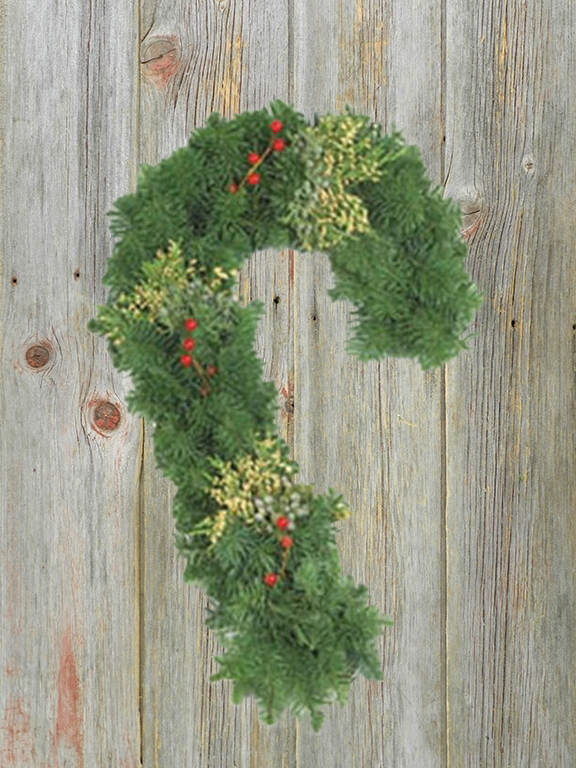 36 " CANDY CANE SHAPE CHRISTMAS GREENS
